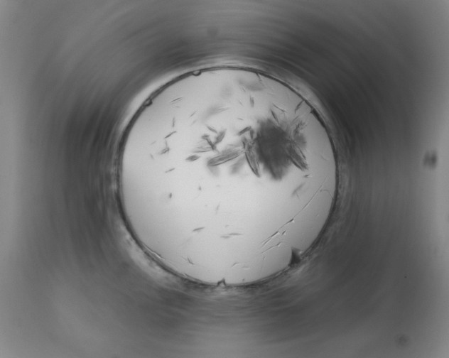 X0000113141148200910021434