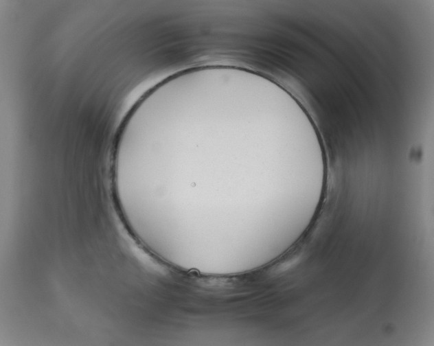 X0000113141149200910021434