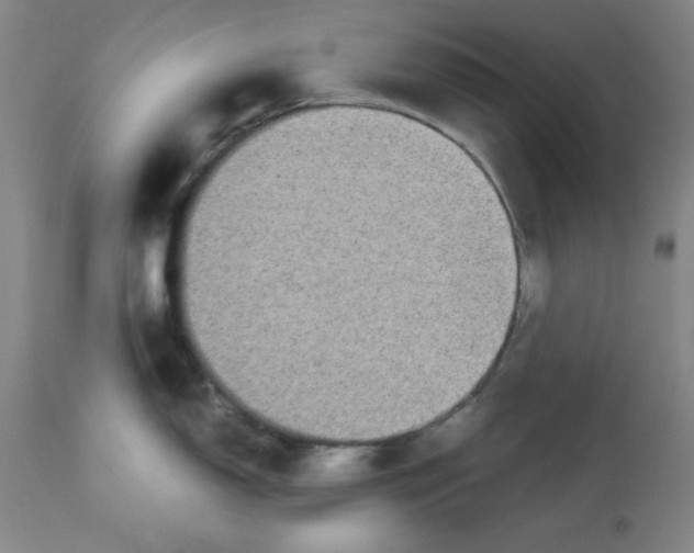 X0000113141150200910021434