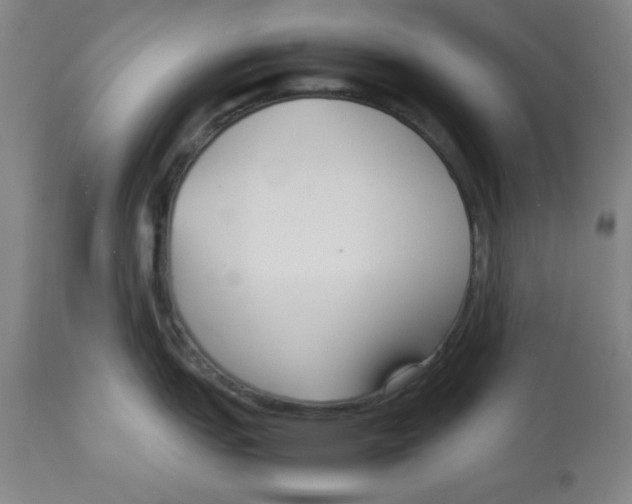 X0000113141151200910021434