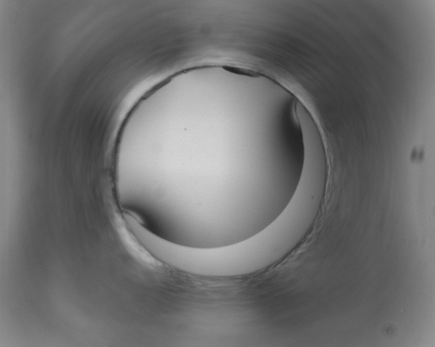 X0000113141152200910021434