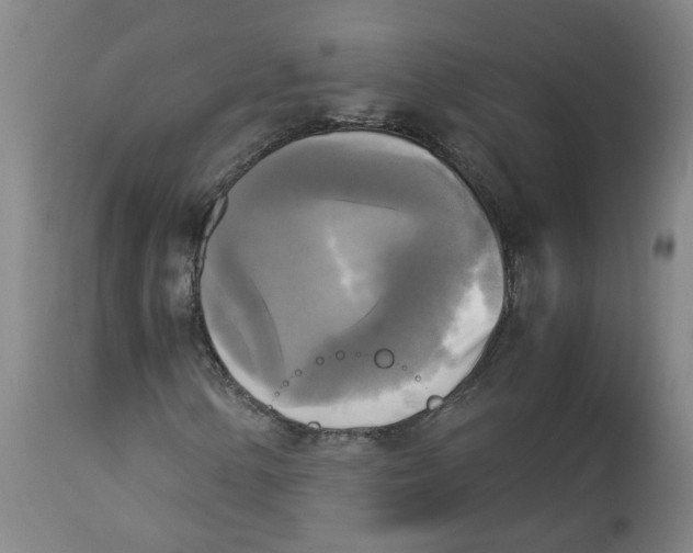 X0000113141154200910021433