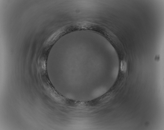 X0000113141155200910021433