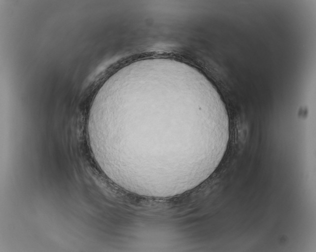 X0000113141158200910021433