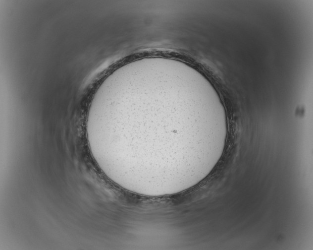 X0000113141159200910021433