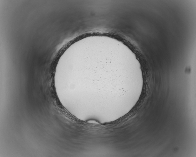 X0000113141160200910021433