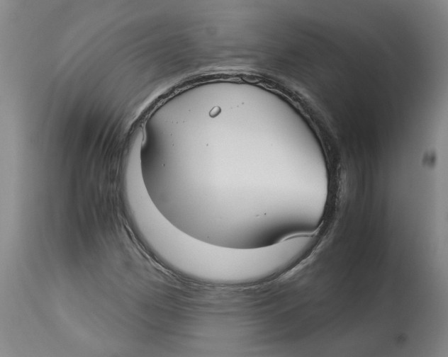 X0000113141162200910021433