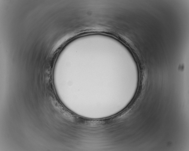 X0000113141163200910021433