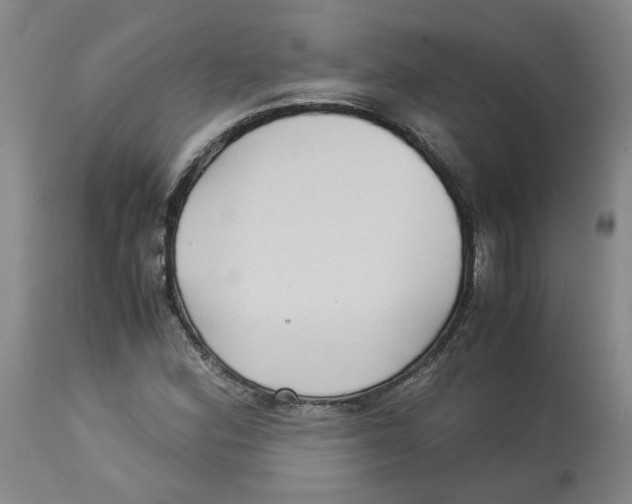 X0000113141164200910021433