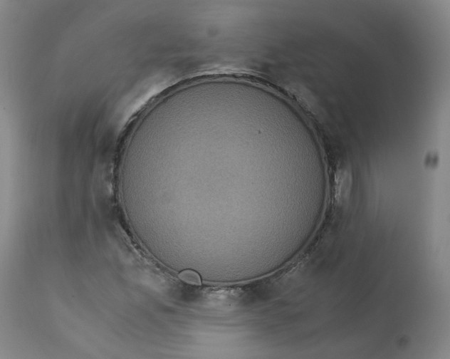 X0000113141165200910021433