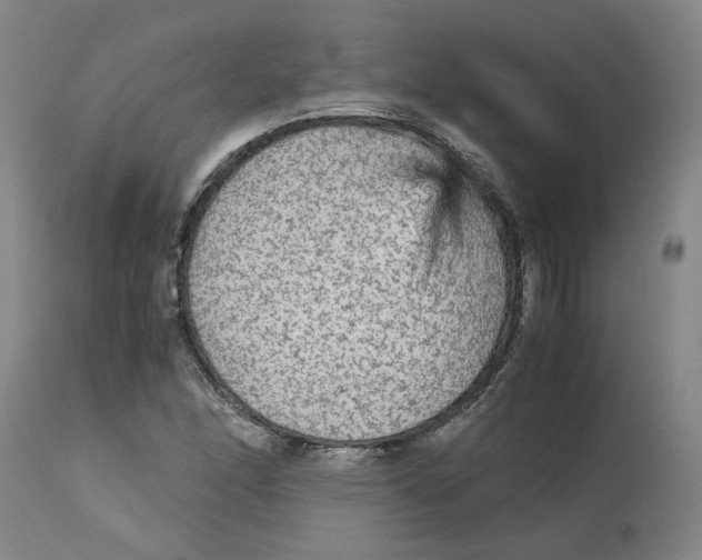 X0000113141166200910021433