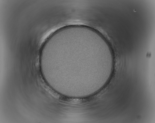 X0000113141167200910021433