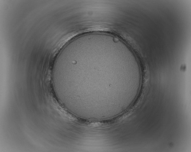 X0000113141169200910021433