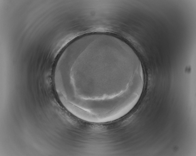 X0000113141170200910021433