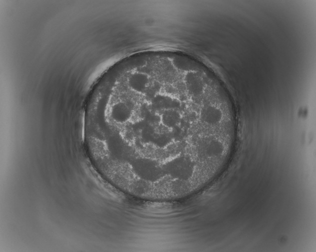 X0000113141171200910021433