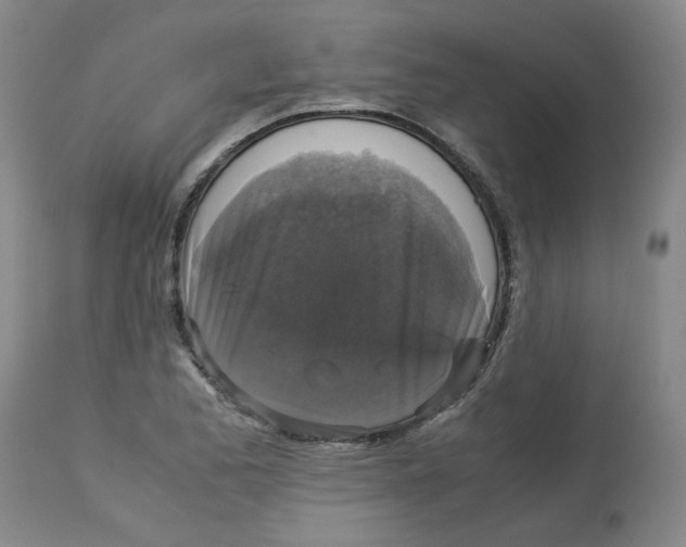 X0000113141173200910021433