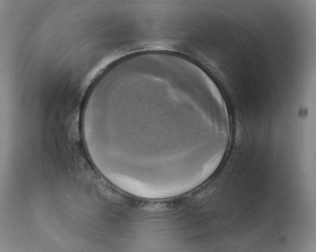 X0000113141174200910021433