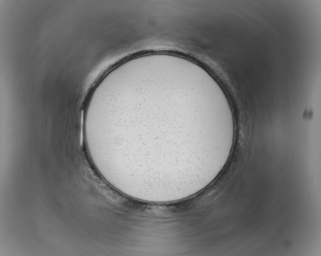 X0000113141175200910021433
