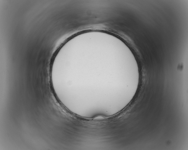 X0000113141176200910021433