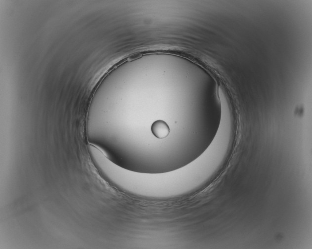 X0000113141177200910021433