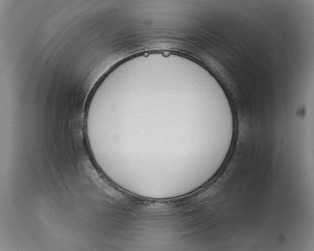 X0000113141178200910021433