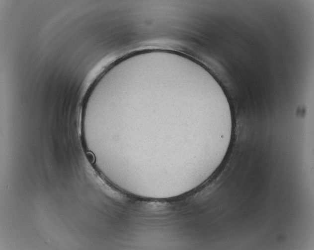X0000113141180200910021433