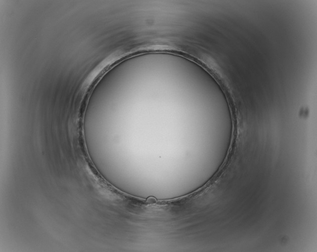 X0000113141181200910021433