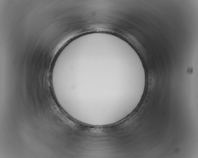 X0000113141182200910021433