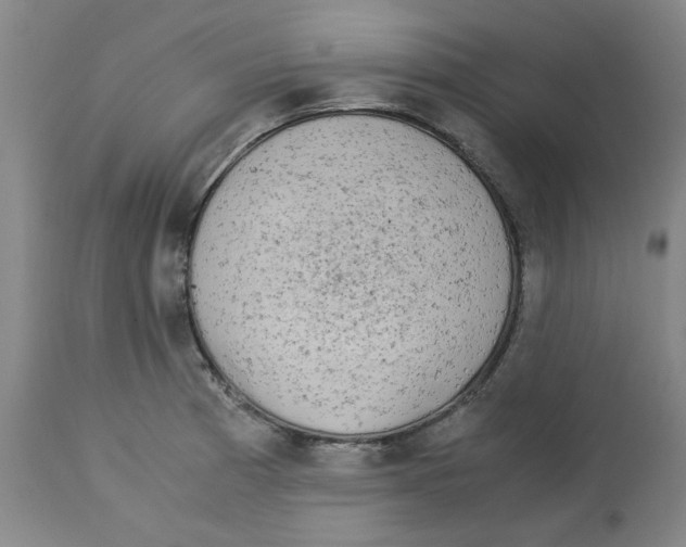 X0000113141185200910021433