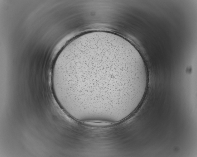 X0000113141188200910021433