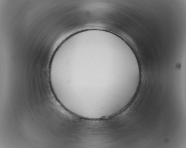 X0000113141192200910021433