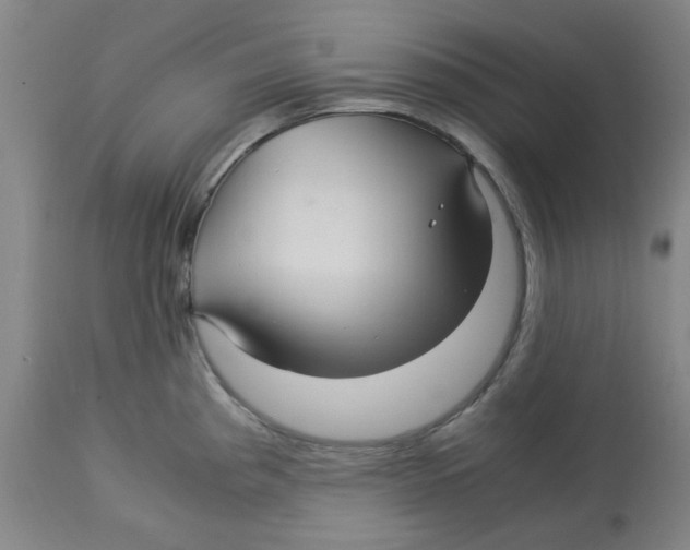 X0000113141193200910021433