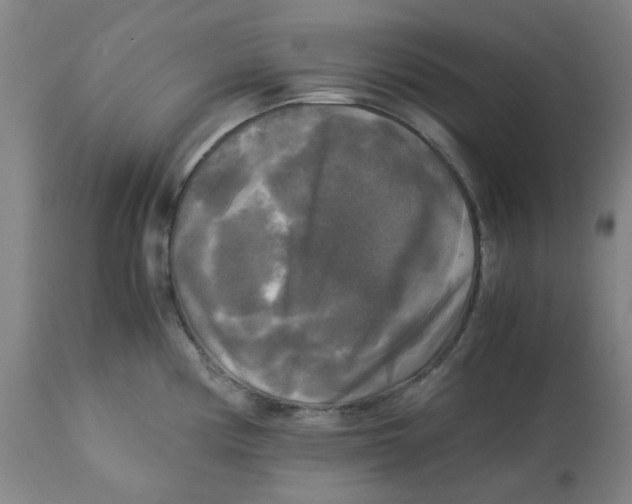 X0000113141194200910021433