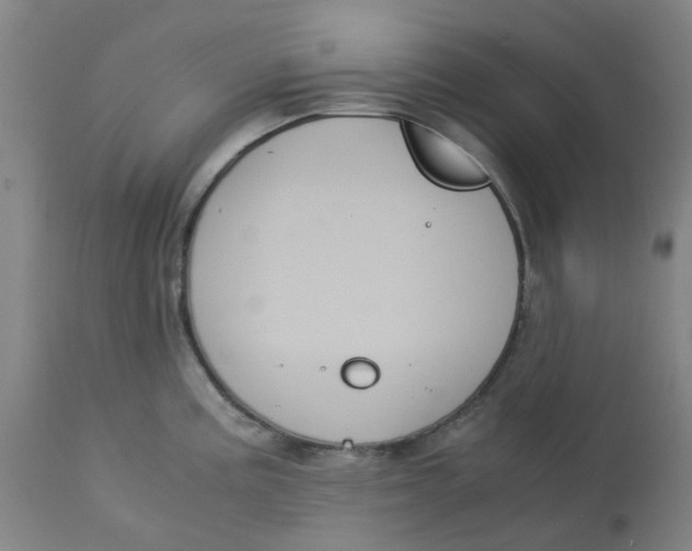 X0000113141195200910021433