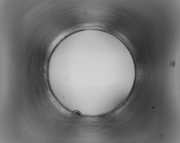 X0000113141196200910021433
