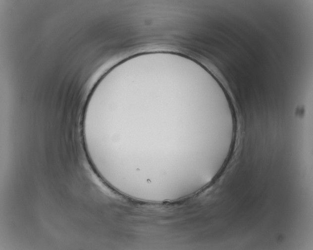 X0000113141197200910021433