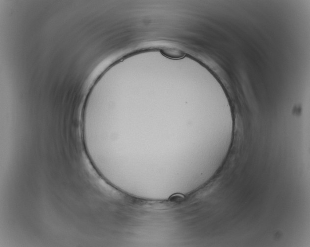 X0000113141199200910021433