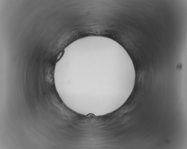 X0000113141202200910021432