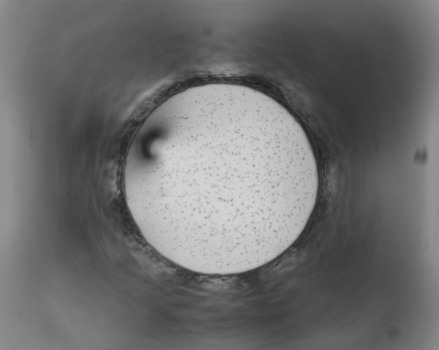 X0000113141205200910021432