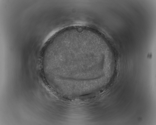 X0000113141208200910021432
