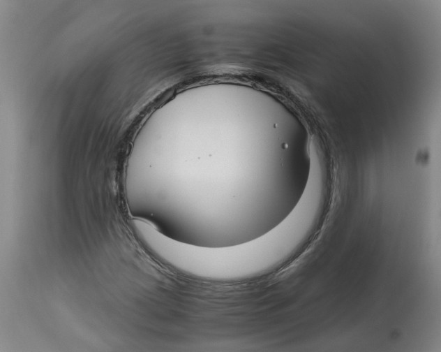 X0000113141209200910021432