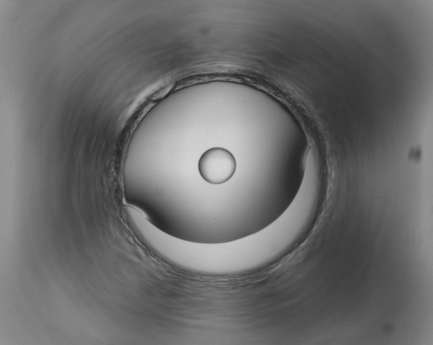 X0000113141210200910021432