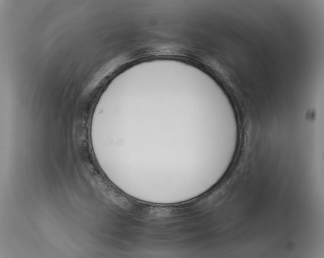 X0000113141211200910021432