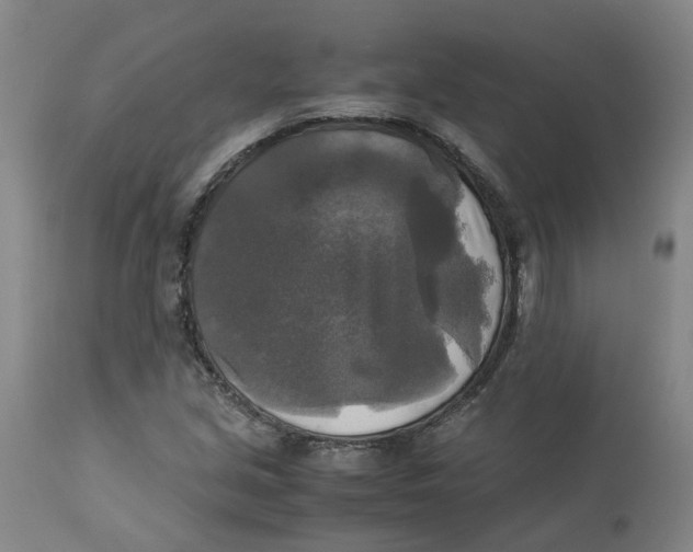 X0000113141213200910021432