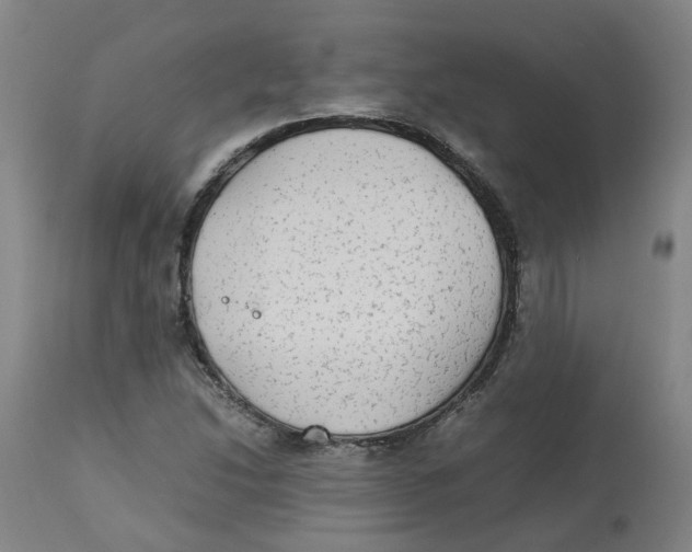 X0000113141214200910021432