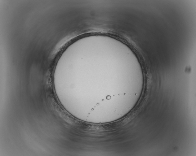 X0000113141215200910021432