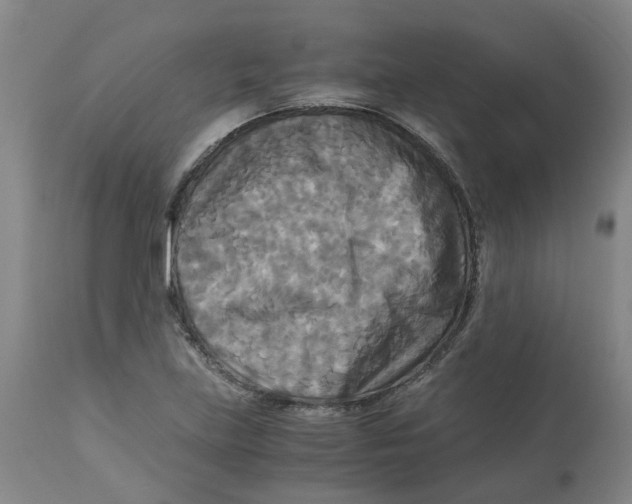 X0000113141219200910021432