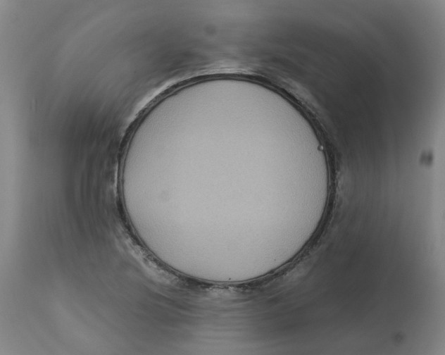 X0000113141220200910021432