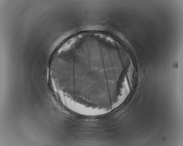 X0000113141221200910021432