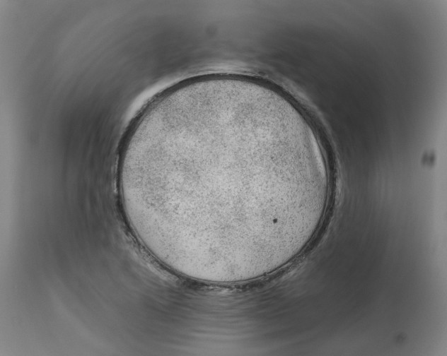X0000113141222200910021432